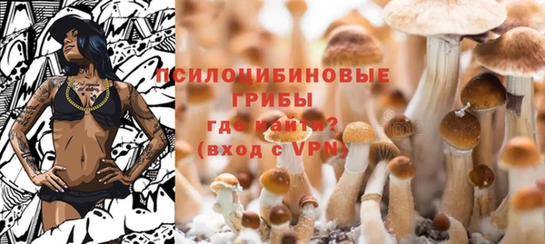 стафф Балахна