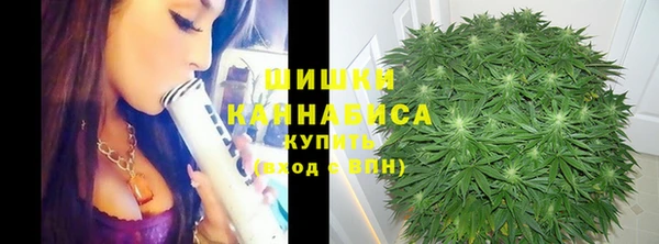 таблы Аша