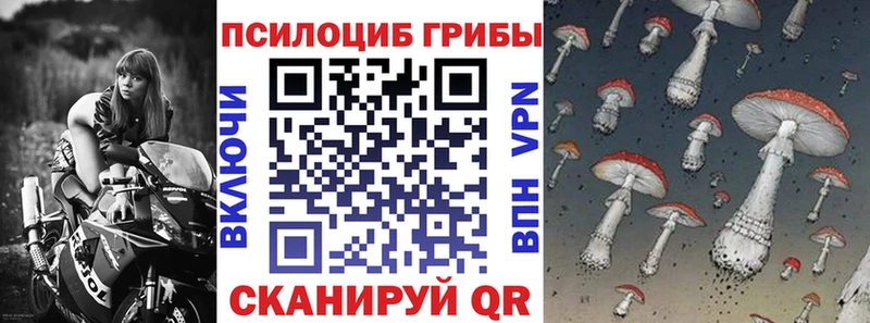KRAKEN   Железногорск-Илимский  Галлюциногенные грибы ЛСД  купить  